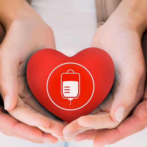 Bosco della Stella<br>Dona il sangue, condividi la vita: incontri informativi per gli Operatori