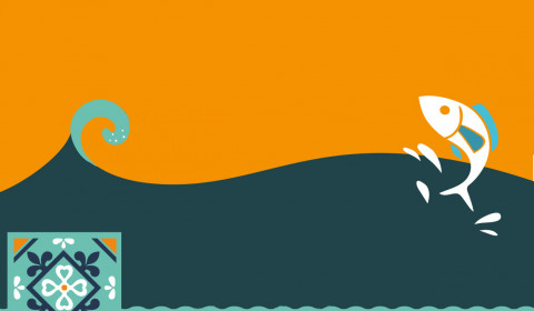 Santa Marta<br>Agosto in Santa Marta