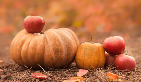 Croce di Malta<br>Ottobre 2023