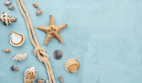 Sant’Andrea <br>Attività socio educative Agosto 2023