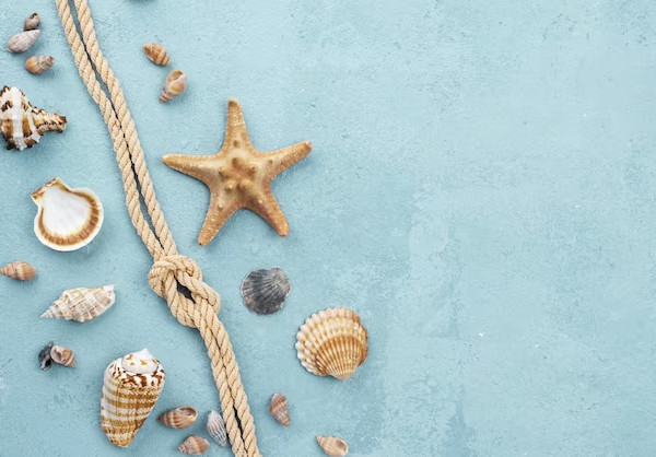 Sant’Andrea <br>Attività socio educative Agosto 2023