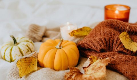 Crocetta<br>Novembre 2024