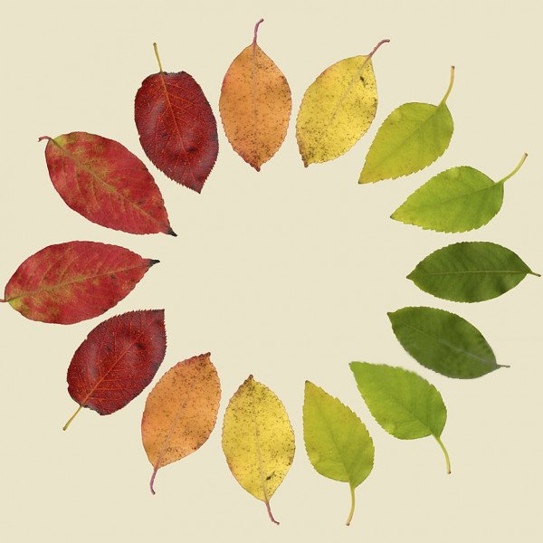 Città di Verona<br>Novembre 2023