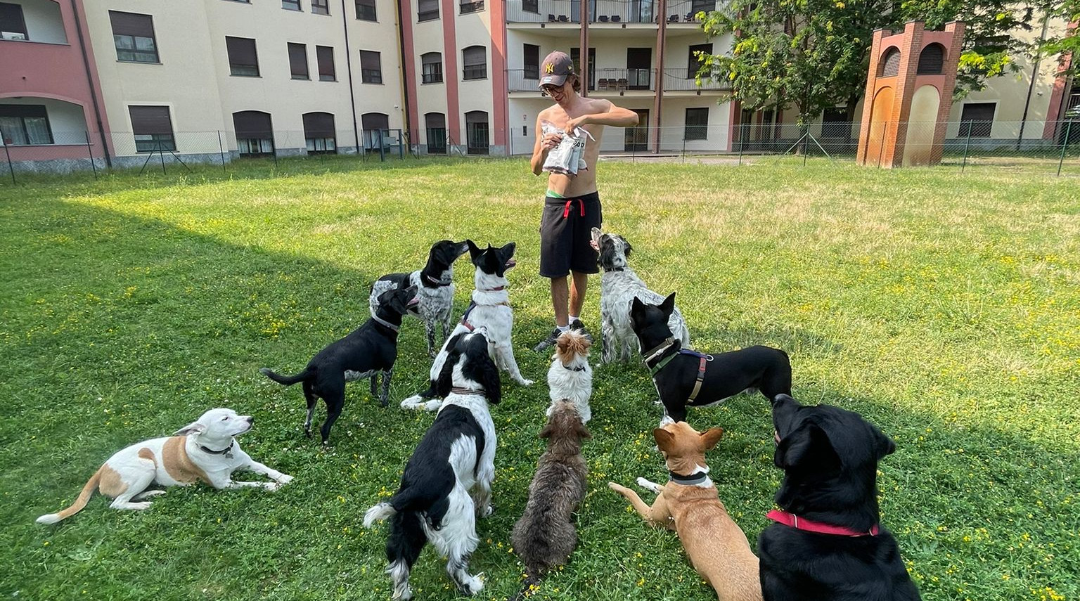 Heliopolis<br>Dog camp<br> Benvenuto autunno