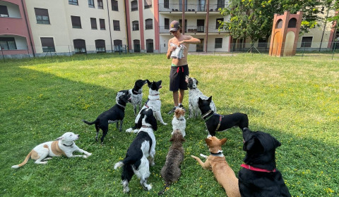 Heliopolis<br>Dog camp<br> Benvenuto autunno