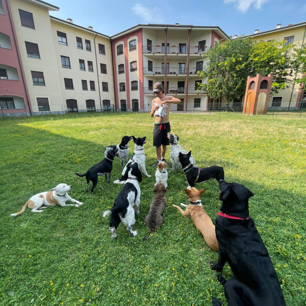 Heliopolis<br>Dog camp<br> Benvenuto autunno