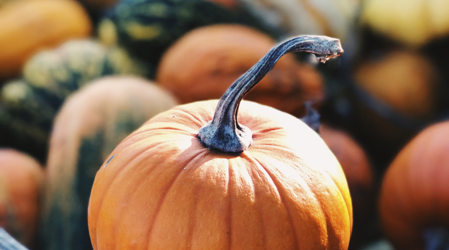 Santa Giulia e Chiara<br>Novembre 2023