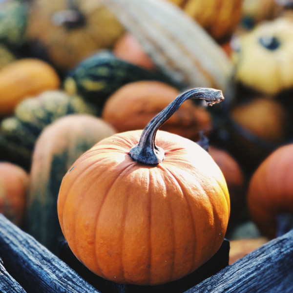 Santa Giulia e Chiara<br>Novembre 2023