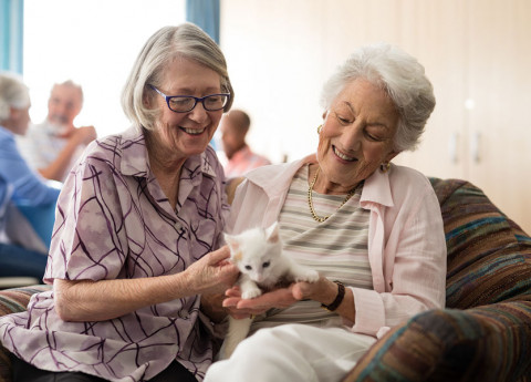 La nuova Casa San Giulio: un luogo confortevole dove vivere la terza età in libertà