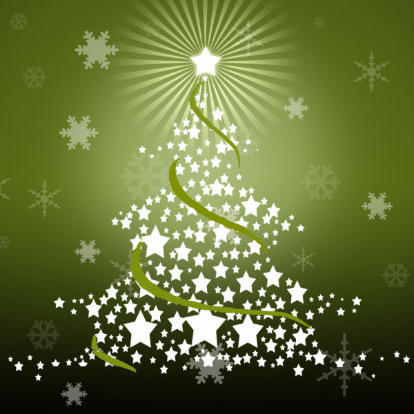 Istituto Padre Pio<br>Accendiamo il nostro albero