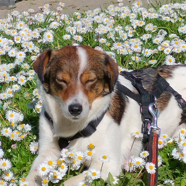 Heliopolis<br>Aprile dolce dormire!