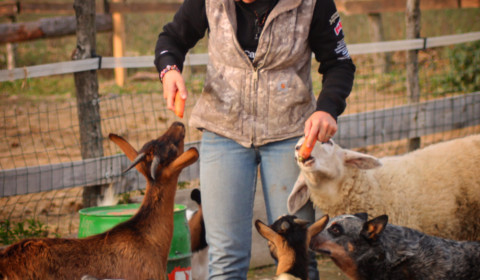 Le Torri<br>Condividiamo amore