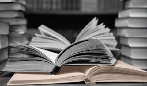 Frate Sole<br>Frammenti di anima