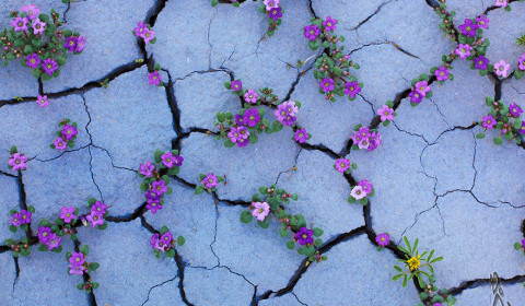 Santa Lucia<br>La vita non finisce con la diagnosi