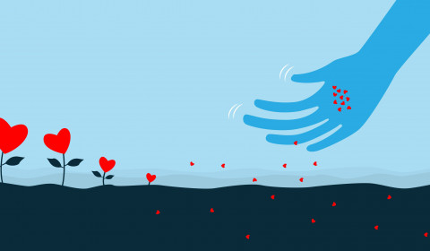 Santa Marta<br>In punta di piedi