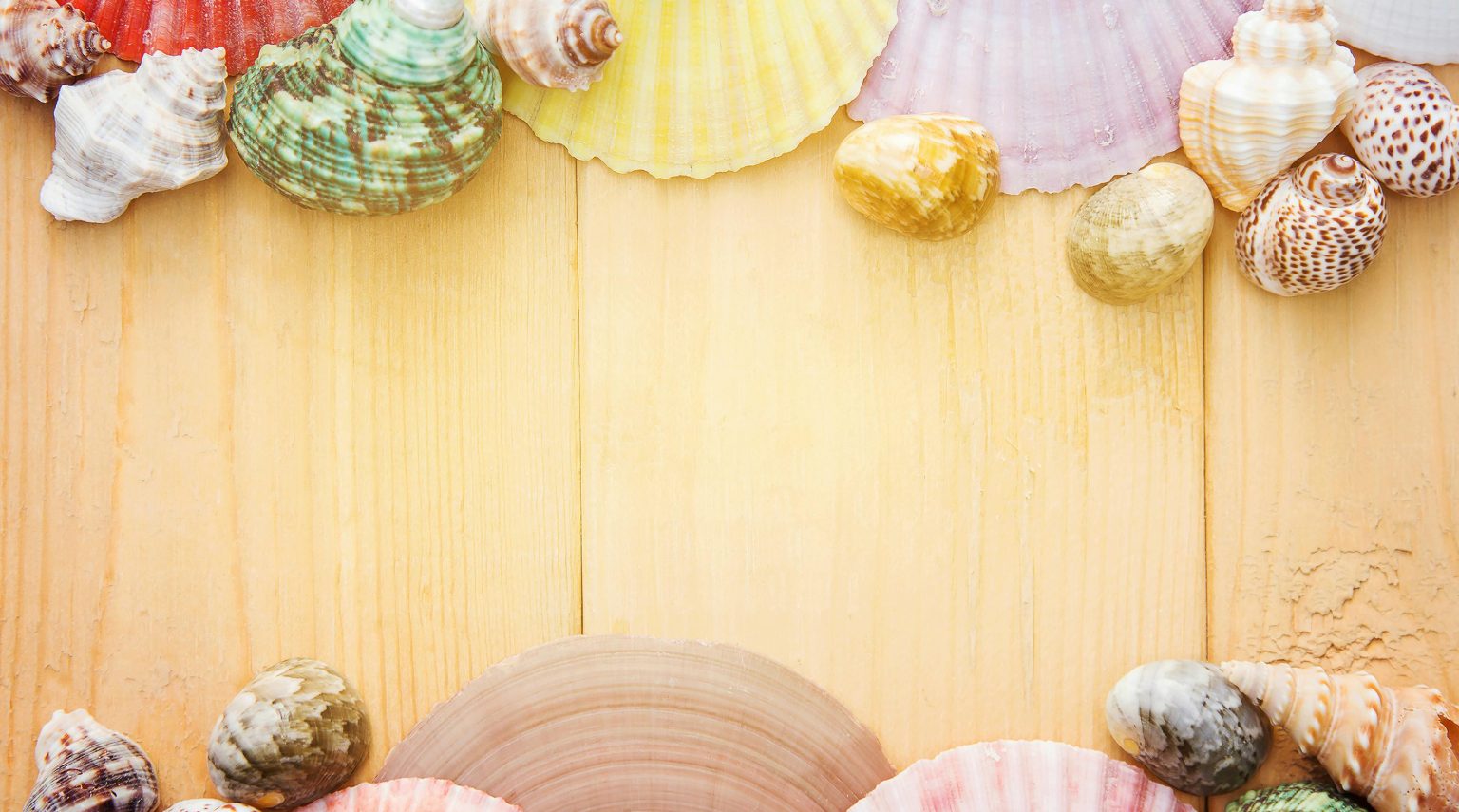 Santa Lucia<br>Agosto 2024