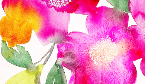 Bernina<br>Agosto 2024