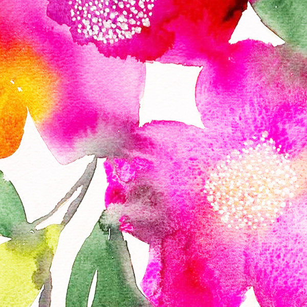 Bernina<br>Agosto 2024