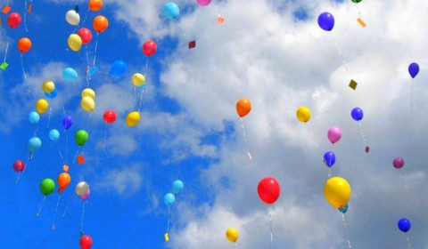 Nuova Fenice<br>Pomeriggio dei desideri