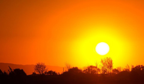 Frate Sole<br>Festa di Fine Estate 2025