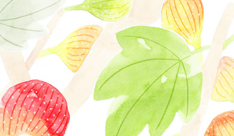 Villa Antea<br>Settembre 2024