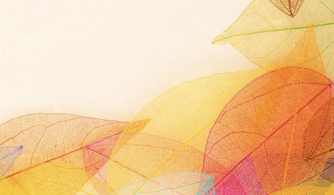 Vittoria <br> Ottobre 2024