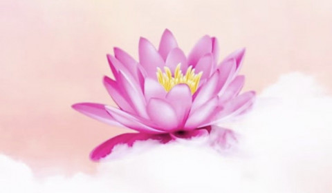 Sant’Andrea <br> Arcobaleno di benessere