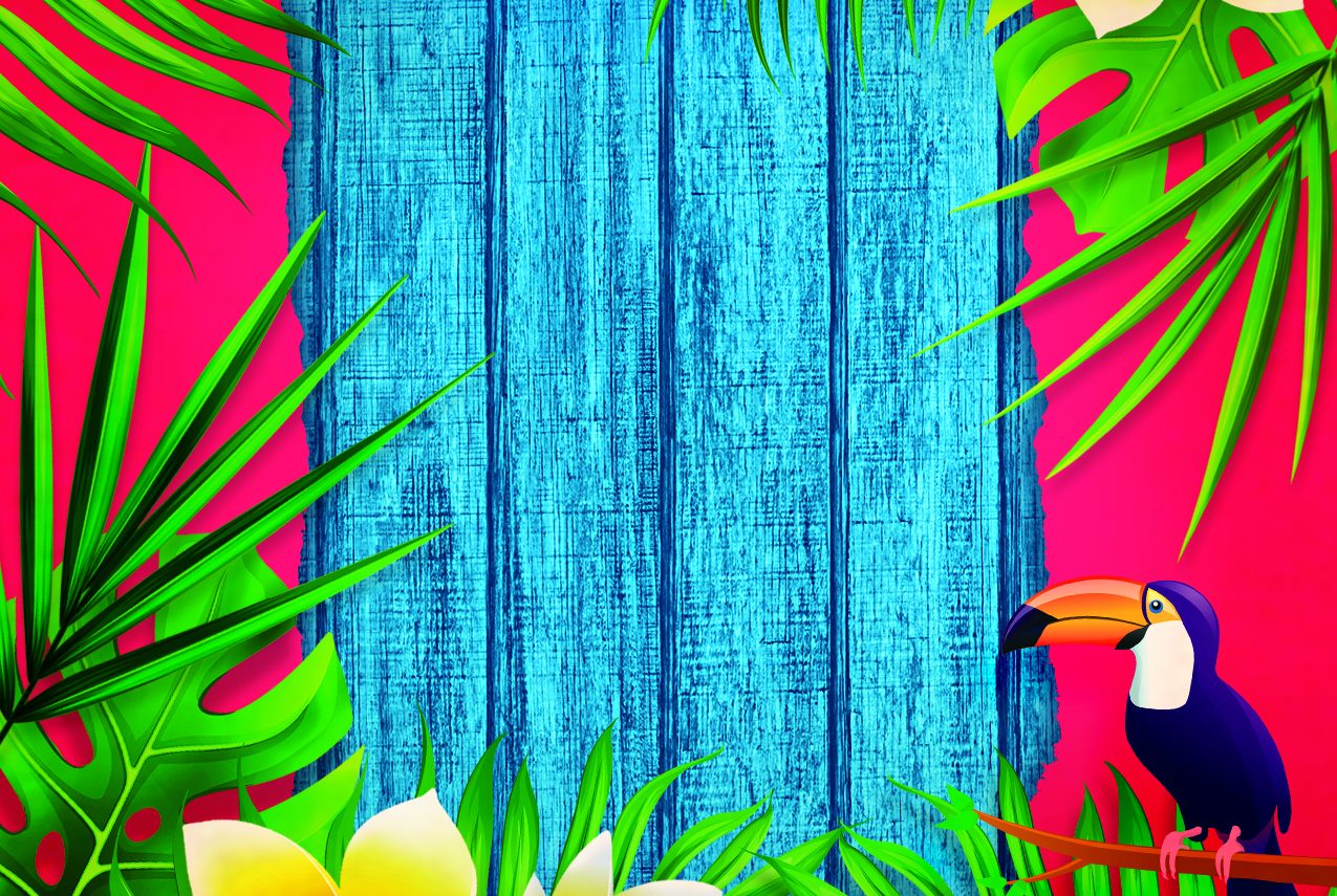 Le Magnolie <br> Festa sudamericana