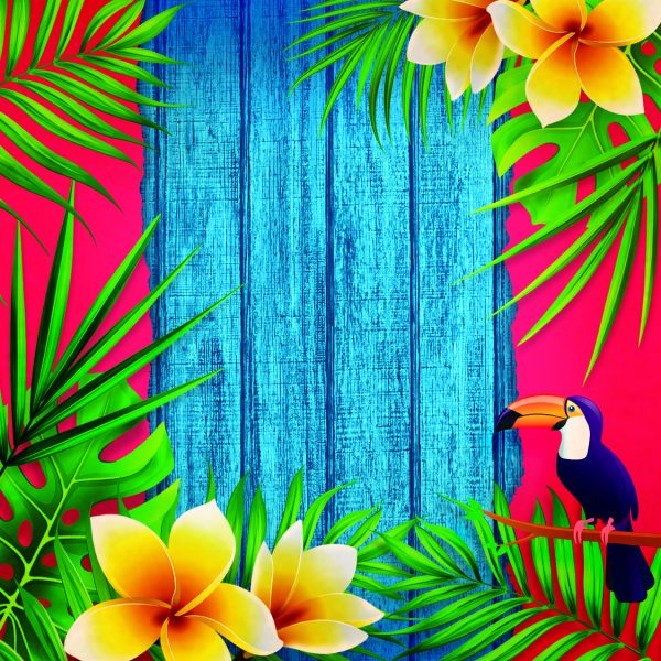 Le Magnolie <br> Festa sudamericana