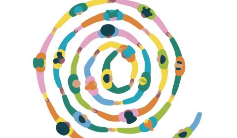 Croce di Malta <br> Vita sociale