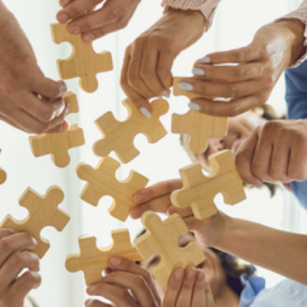 Frate Sole <br> Comitato Parenti e Ospiti 2025