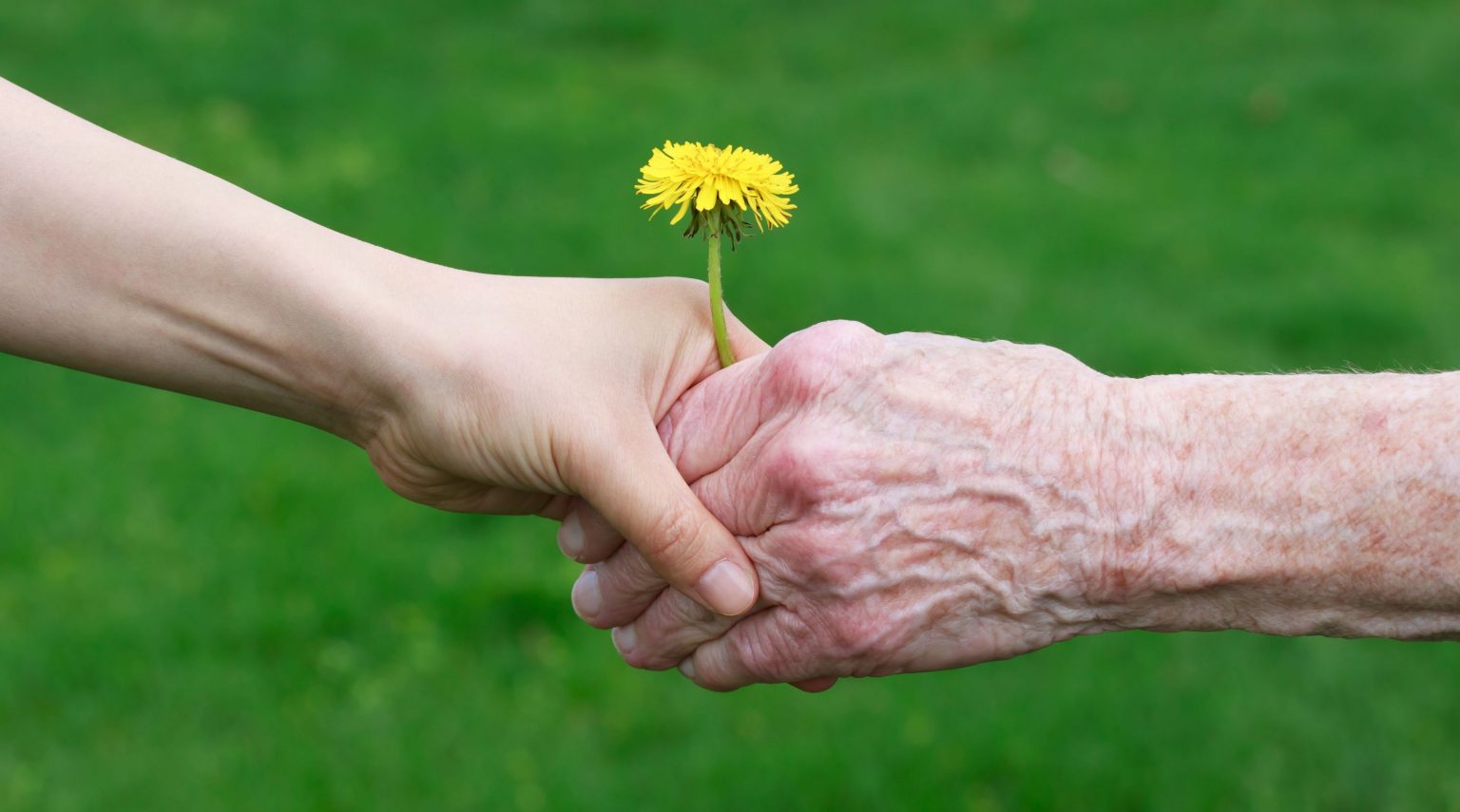 Santa Giulia e Chiara <br> Il corpo che parla, la voce che cura