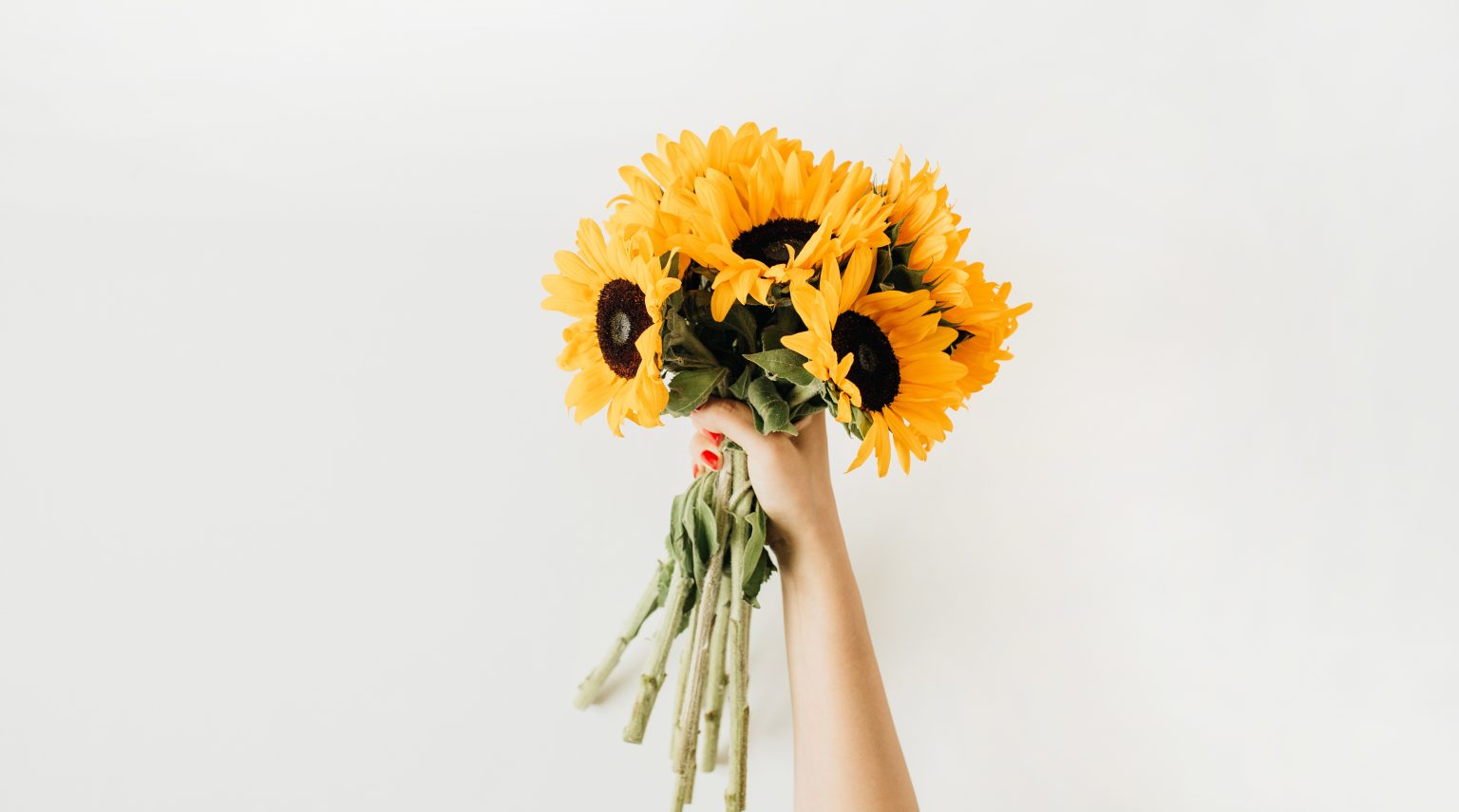 Saccardo <br> Festa d’Estate 2025