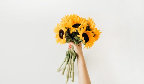 Villa San Clemente <br> Buon compleanno Villa San Clemente!