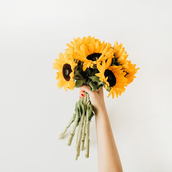 Saccardo <br> Festa d’Estate 2025