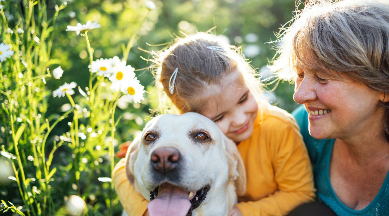 Santa Lucia<br> Amici a quattro zampe, una carezza che unisce