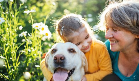 Santa Lucia<br> Amici a quattro zampe, una carezza che unisce