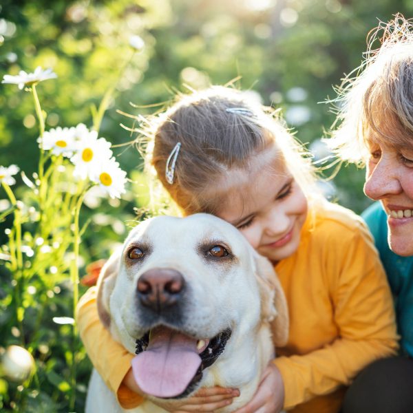 Santa Lucia<br> Amici a quattro zampe, una carezza che unisce