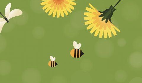 Villa Carla e Villa Silvana <br> Mese dei Valori 2025