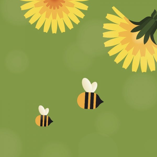 Villa Carla e Villa Silvana <br> Mese dei Valori 2025