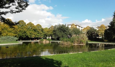 Le Magnolie <br> Alla scoperta dei parchi fiorentini