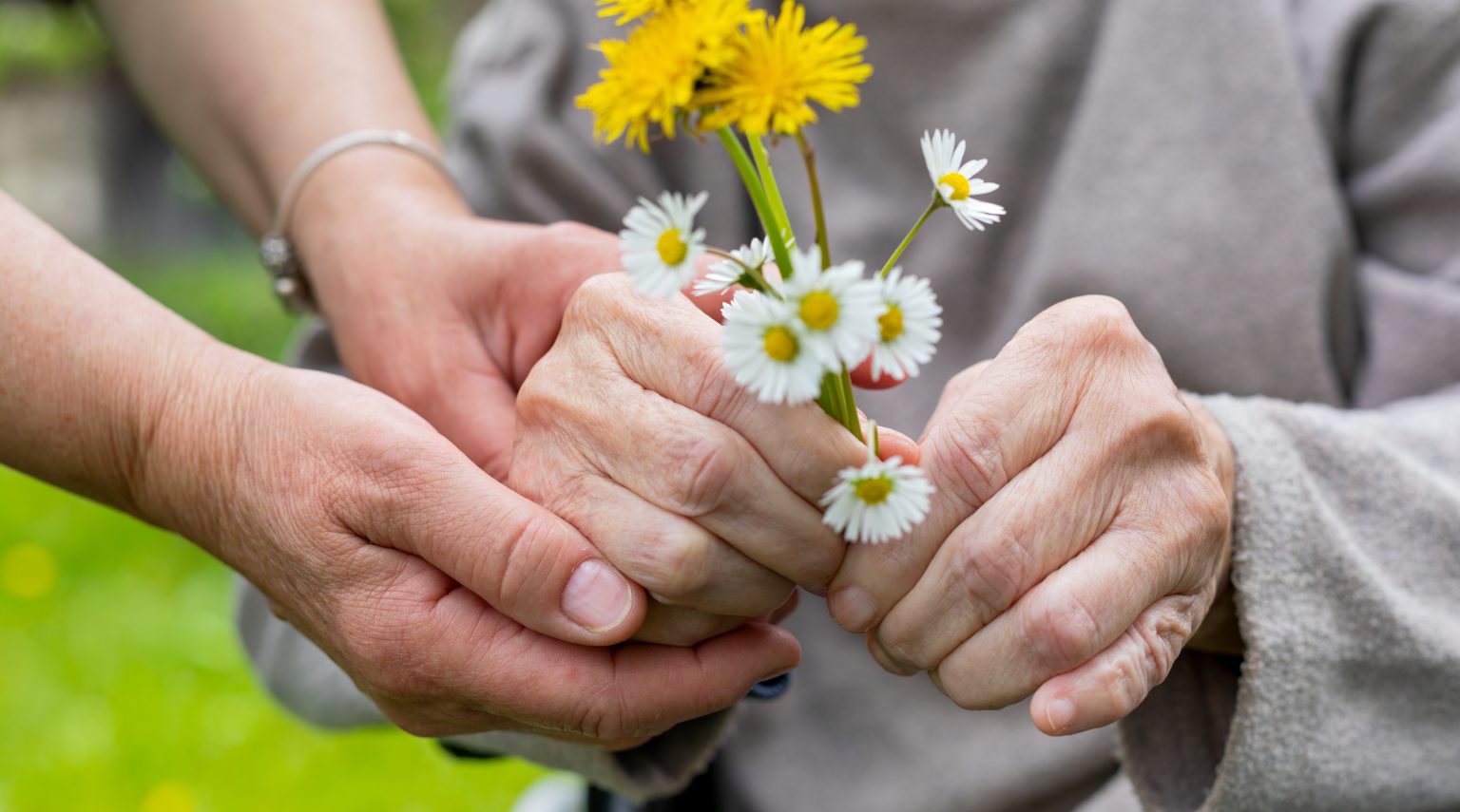 Santa Marta <br> Giornata mondiale per la consapevolezza<br> degli abusi sugli anziani