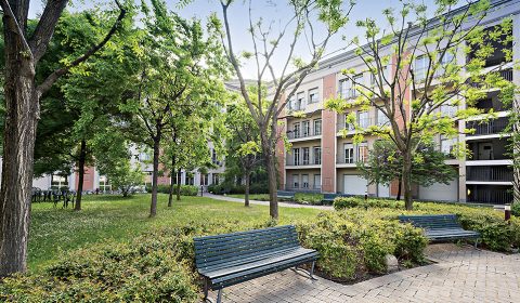 Saccardo<br>Il nuovo giardino