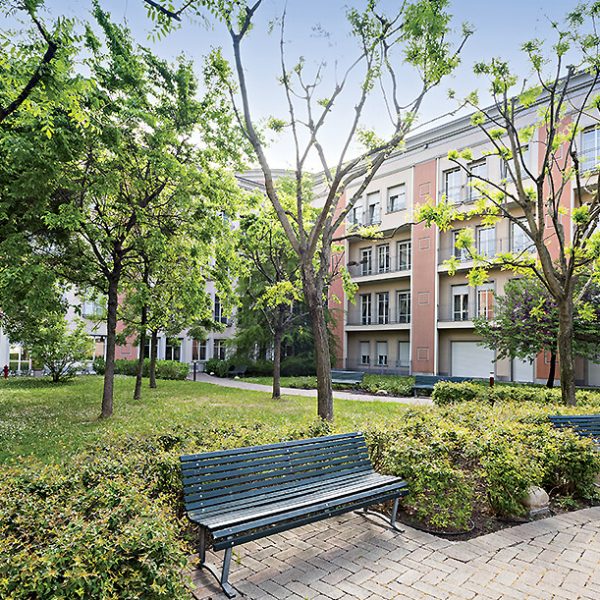 Saccardo<br>Il nuovo giardino