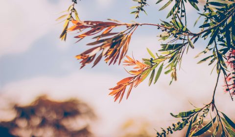 Santa Giulia e Chiara <br> Settembre 2025 in musica