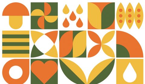 Villa Antea <br> Settembre 2025