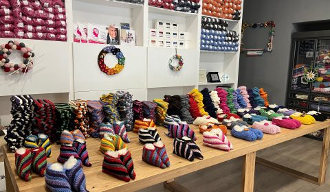 Villa Carla e Villa Silvana<br>Solidarietà intergenerazionale