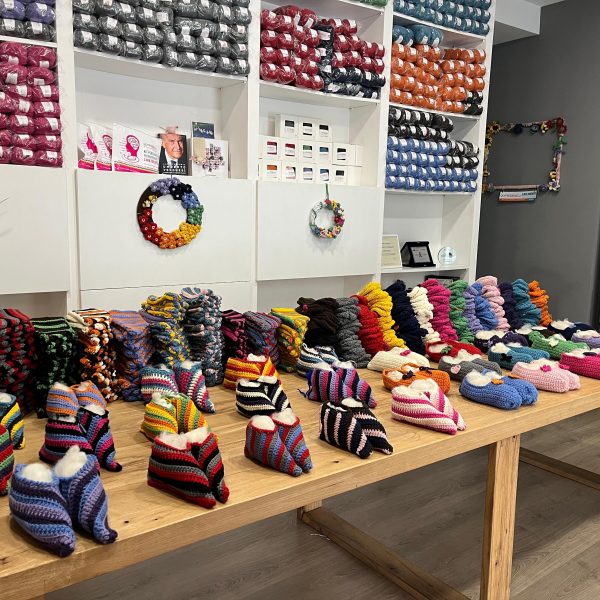 Villa Carla e Villa Silvana<br>Solidarietà intergenerazionale