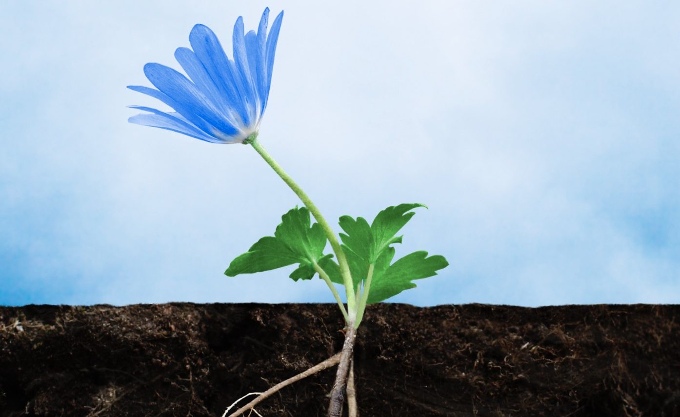 Villa Marica<br>Giornata mondiale dell’Alzheimer