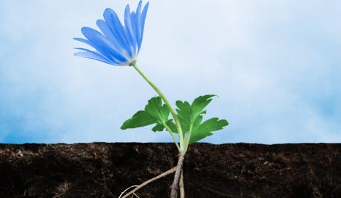 San Gabriele<br>Giornata mondiale dell’Alzheimer 2025